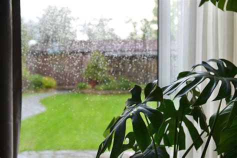 7,300+ Heavy Rain Window Stock Photos, Pictures & Royalty-Free Images ...