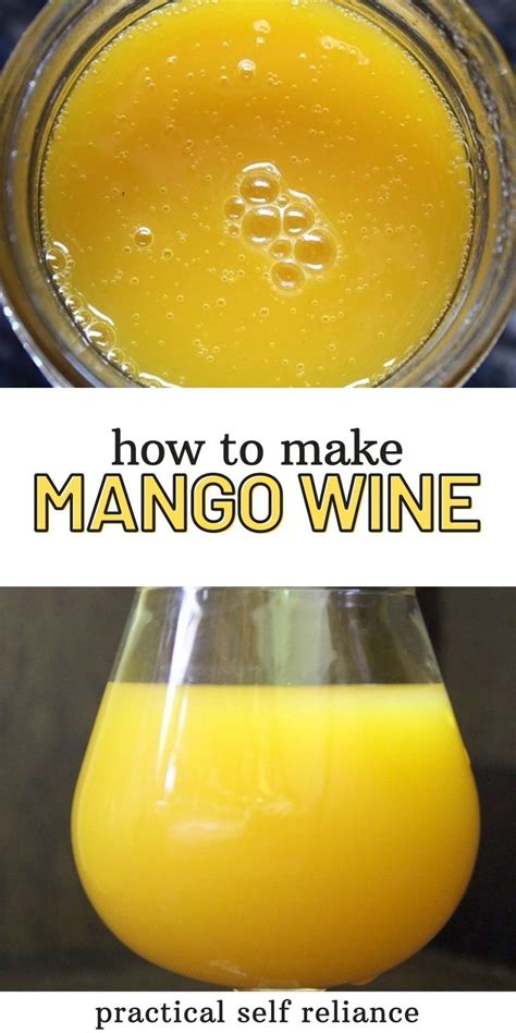 Mango Wine ~ Small Batch Recipe | Recipe | Mango wine, Wine recipes ...