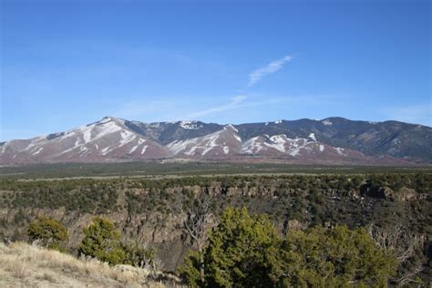 Piñon nuts are cherished in New Mexico. Thanks to climate change, they ...