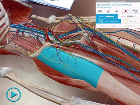 Three Amazing Augmented Reality Views of the Human Body with Human Anatomy Atlas