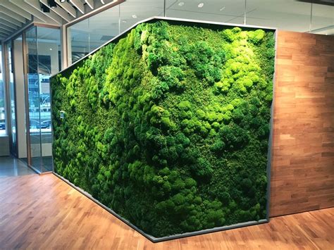 Best 20+ of Moss Wall Art