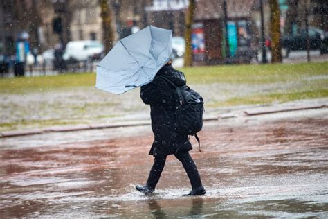 A warm and wet winter comes to a close in Boston | WBUR News