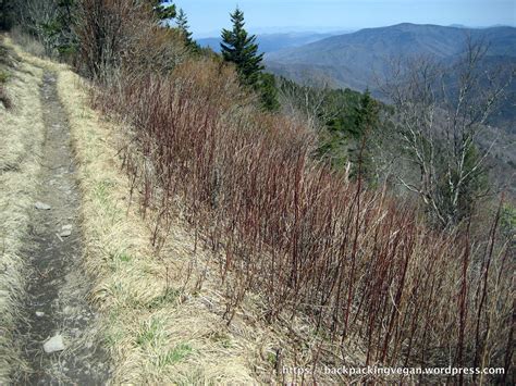 great smokies national park appalachian trail | The Appalachian Trail ...