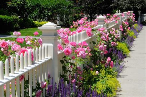 27 Beautiful White Fence Ideas to Add Curb Appeal to your Home