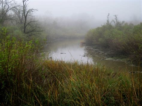 Baytown Nature Center Hike 12-18-2008 - Baytown, Texas