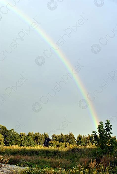 Rainbow after the rain - stock photo 688385 | Crushpixel