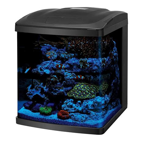 Coralife LED Biocube Aquarium LED | Aquarium fish tank, Small saltwater ...