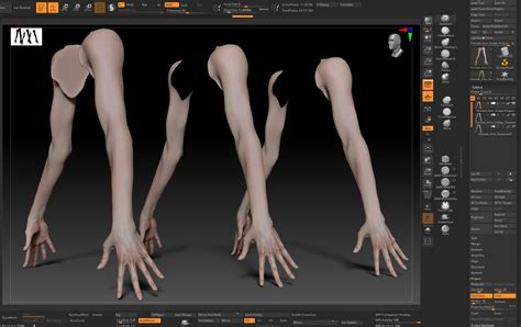 Female Pro Arm Sculpt Project 3D Model - TurboSquid 2052469