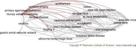 Murray Valley Encephalitis disease: Malacards - Research Articles ...