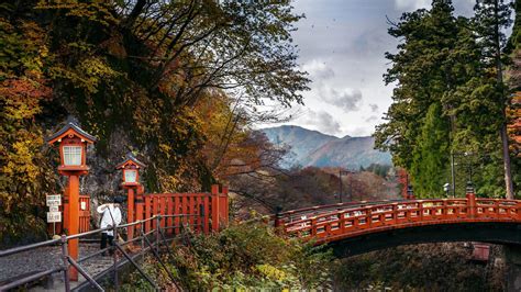 Sacred Groves: How the Spiritual Connection Helps Protect Nature - Yale ...