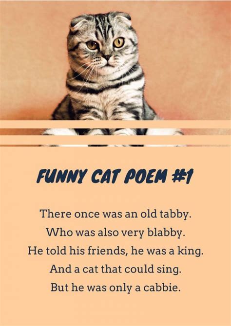 16+ Cat Poems For Kids To Read 🐈 | Imagine Forest