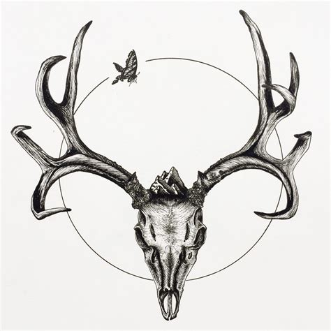 Mule Deer Skull with Butterfly, Ink pen on paper, 11.5x14" | Deer skull tattoos, Antler tattoos ...