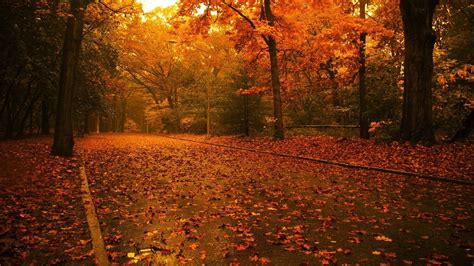 Autumn Raining Wallpapers - Wallpaper Cave