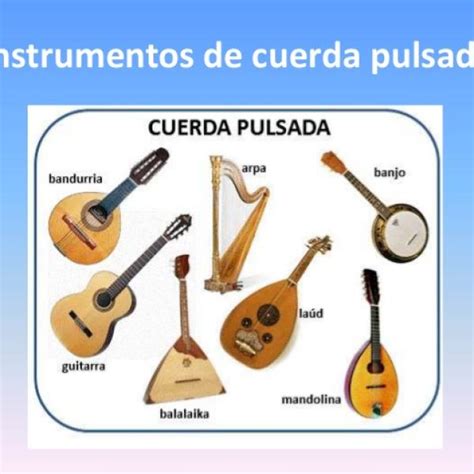 Instrumentos De Cuerda – Guía Completa ¡Explicada!, 43% OFF