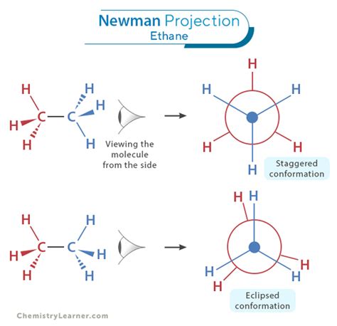 Newman Projection: Definition, Examples, and Energy Diagram