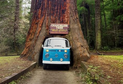 Roadside Attractions in California: A Guide to Quirky and Unique Stops ...