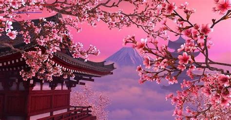 Cherry Blossom Wallpaper Engine - Trending HQ Wallpapers