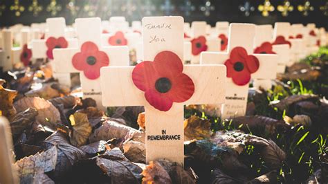 Field Of Remembrance Day Crosses And Poppies Stock Photo - Download Image Now - iStock