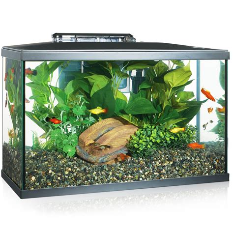 Tetra Open Glass 10 Gallon Rectangular Fish Aquarium Tank | ydy.akdeniz ...