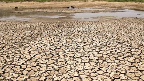 Drought impacts increasing in South Australia | The Advertiser