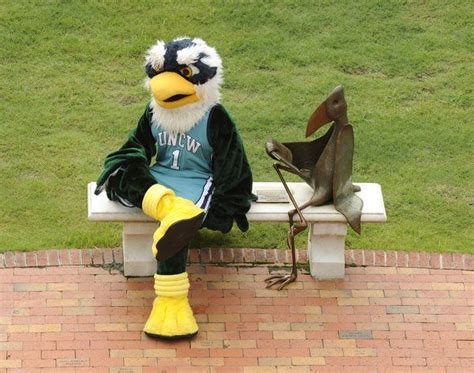 UNCW (@UNCWilmington) | Seahawks mascot, University of north carolina, Wilmington