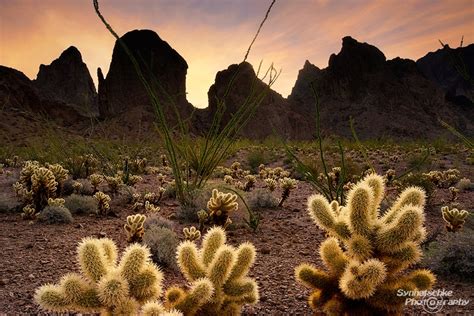 kofa-mountains-sunrise | Misc | Arizona | USA | Synnatschke Photography