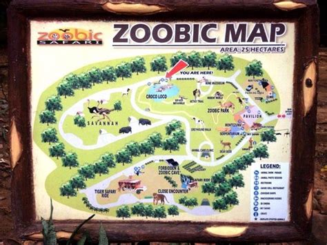 Zoobic Safari (Subic Bay Freeport Zone) - 2020 All You Need to Know ...