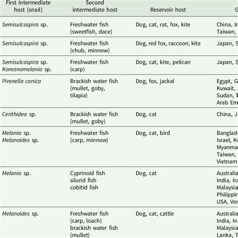 Heterophyid intestinal flukes infecting humans with their life cycle ...