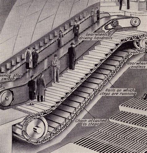 The Daily Apple: Apple #696: Escalators