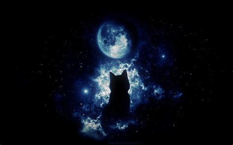 Cat and Moon Wallpapers - Top Free Cat and Moon Backgrounds ...