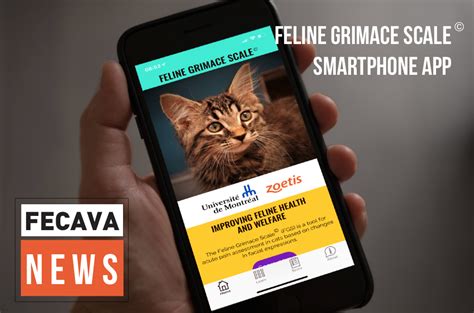 Feline Grimace Scale Phone App - FECAVA