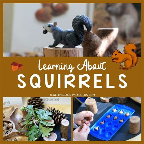 Putting Together Preschool Squirrel Activities at the Science Table