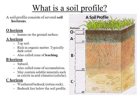 Farm Soil Sampling | Lawn Care Forum