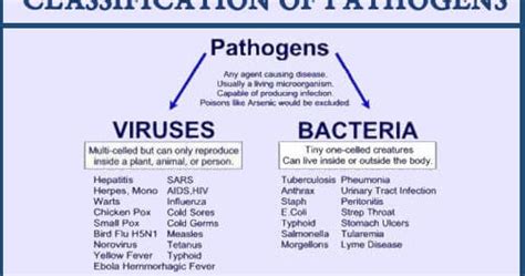 List of Human Diseases caused by Bacteria, Virus, Fungi, and Protozoa ...