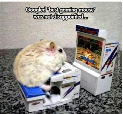 Best gaming mouse : r/memes