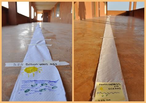 Toilet Paper Timeline | Turkana Basin Institute