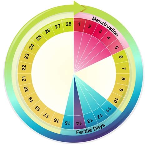 How to calculate safe days? - The Frisky