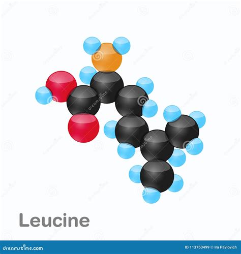 Molecule of Leucine, Leu, an Amino Acid Used in the Biosynthesis of ...