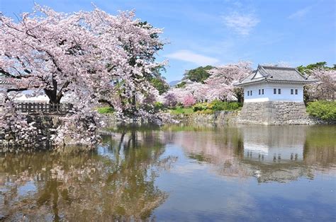 Odawara Castle - Odawara Guide