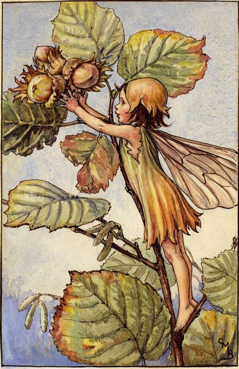 Hazel-Nut | Fairy art, Flower fairies, Cicely mary barker