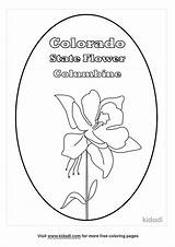 Colorado State Flower Coloring Page Free Flowers  sketch template