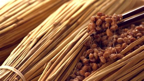 Natto Beans Stock Video Footage - 4K and HD Video Clips | Shutterstock