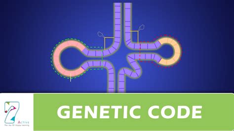 GENETIC CODE PART 2 - YouTube