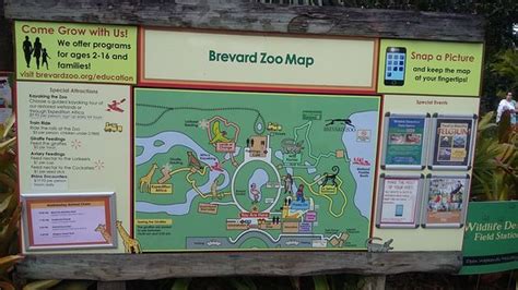 Brevard Zoo (Melbourne) - 2020 All You Need to Know BEFORE You Go (with ...