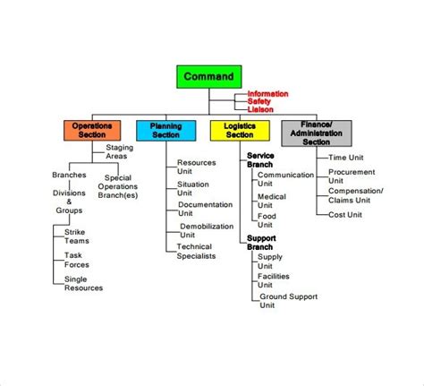 Ics Organizational Chart Template