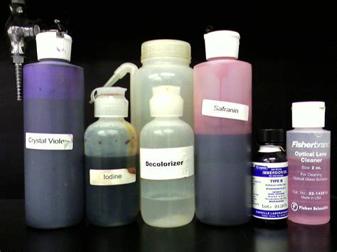 Gram Stain supplies in order | Water rinse after each step. … | Flickr