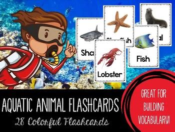 Aquatic Animals Flashcards by Katie Sue Meyer | Teachers Pay Teachers