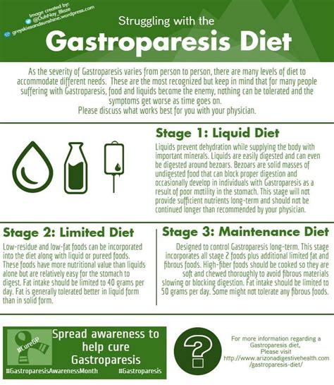 What Is A Good Diet For Gastroparesis - Weight loss