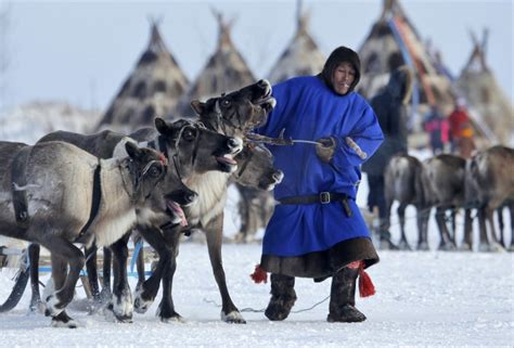 AP Russia Reindeer Herders Day