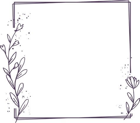 Minimalist floral frame with hand drawn leaf and shape simple floral border 20639793 PNG